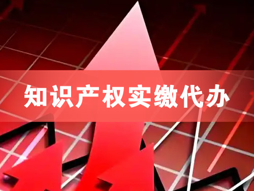 钟祥知识产权实缴资本代办